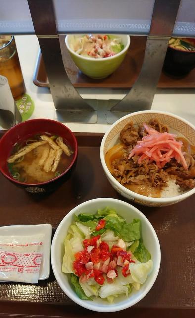 すき家 21号各務原鵜沼店へのヨゼさんのレビュー写真