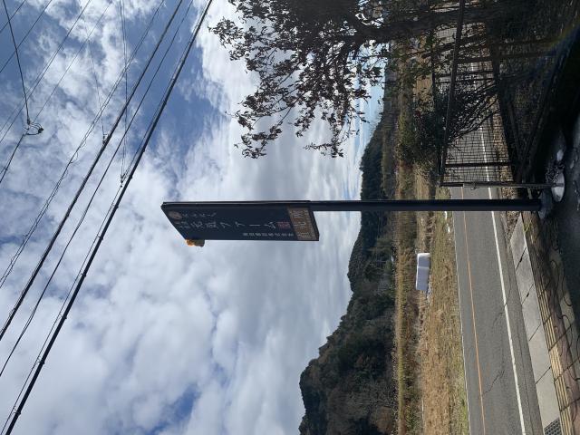 美濃山県元気ファーム(梅田建設株式会社)へのポニョさんのレビュー写真