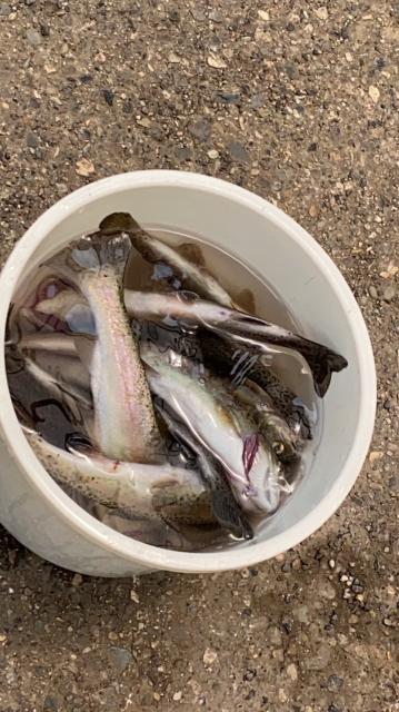 大滝鍾乳洞へのちぃーたんさんのレビュー写真