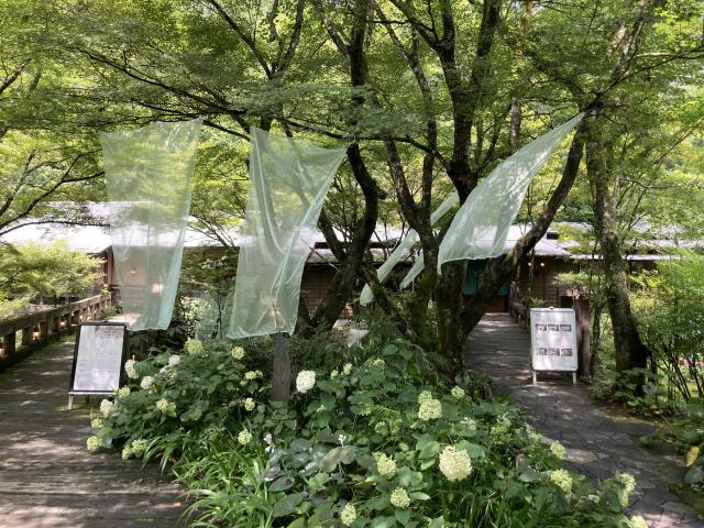 Cafe de dolceへのえころんさんのレビュー写真