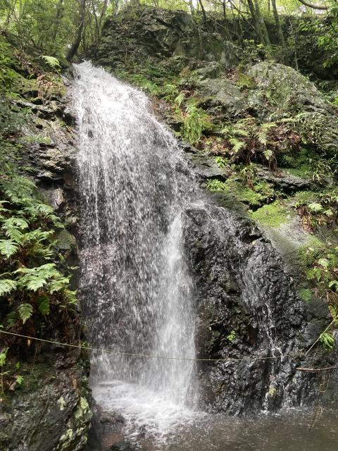 Cafe de dolceへのえころんさんのレビュー写真