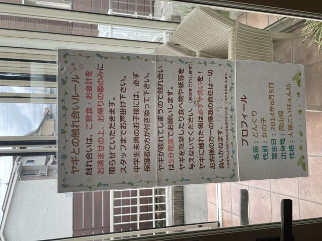 こつぶcafeへの岐阜の食いしん坊担当さんのレビュー写真