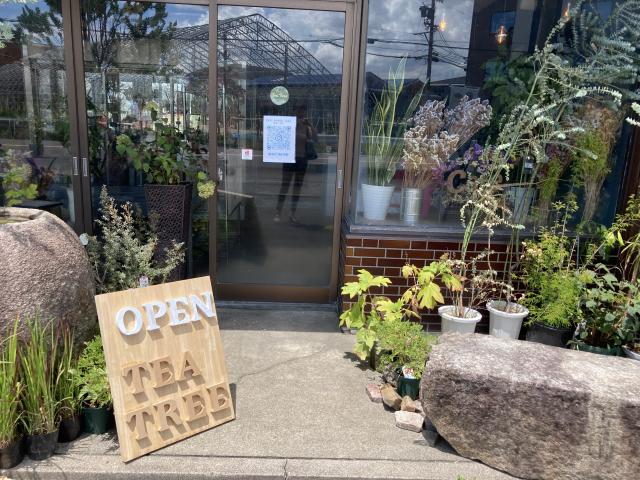Cafe Tea Treeへのえころんさんのレビュー写真