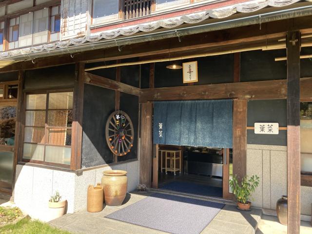 葉菜のレポート写真5（えころん）