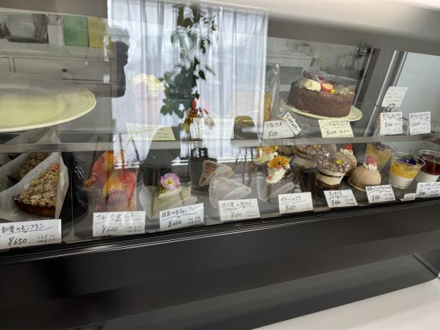 IBERISへのえころんさんのレビュー写真