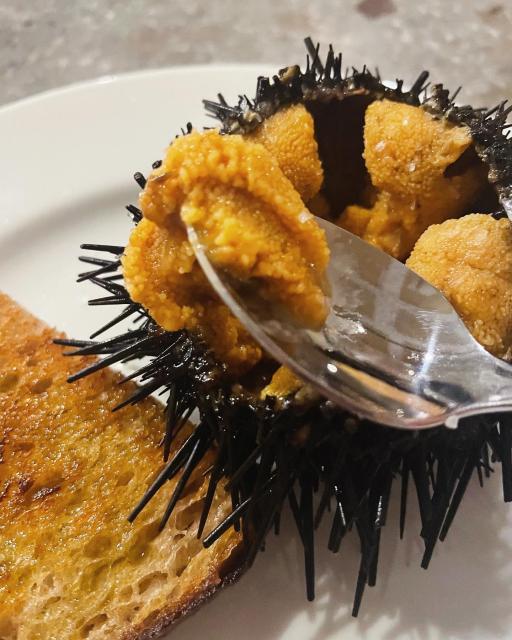 Terra.への岐阜の食いしん坊担当さんのレビュー写真