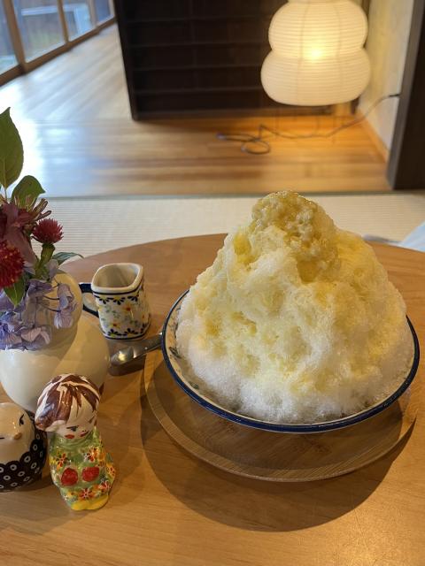 かき氷専門店　SEIRYUGORI へのえころんさんのレビュー写真