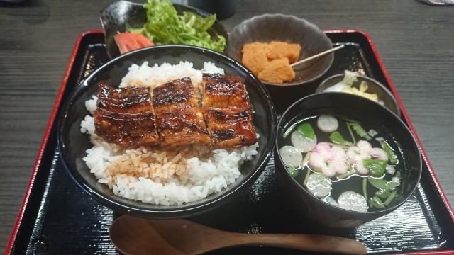 本格炭焼 うな吉へのヨゼさんのレビュー写真