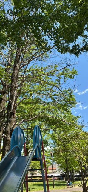 野一色公園へのにしこさんのレビュー写真