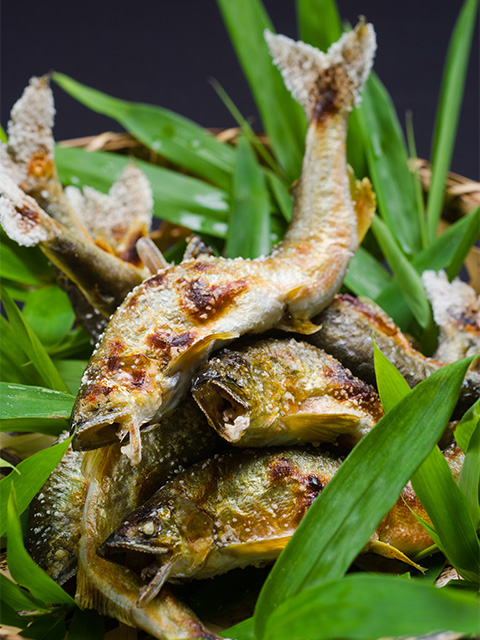 料亭 安田屋｜岐阜のおもてなし 接待・会食特集写真3