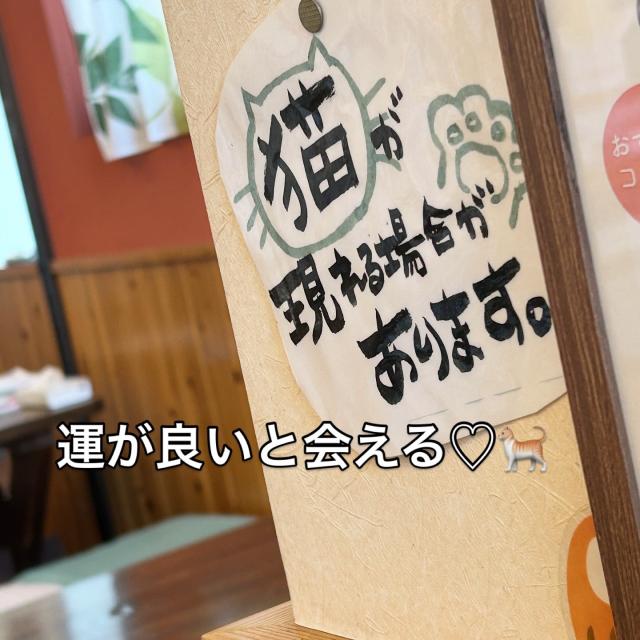 ごはん居酒屋 いろんなんのレポート写真3（岐阜の食いしん坊担当）