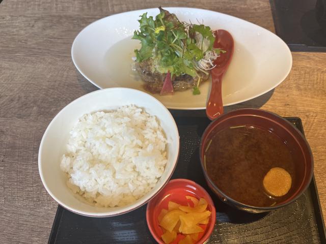 酒菜食菜 しのえもんのレポート写真4（えころん）