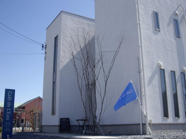 Cafe de L'Eauのお店からの写真1