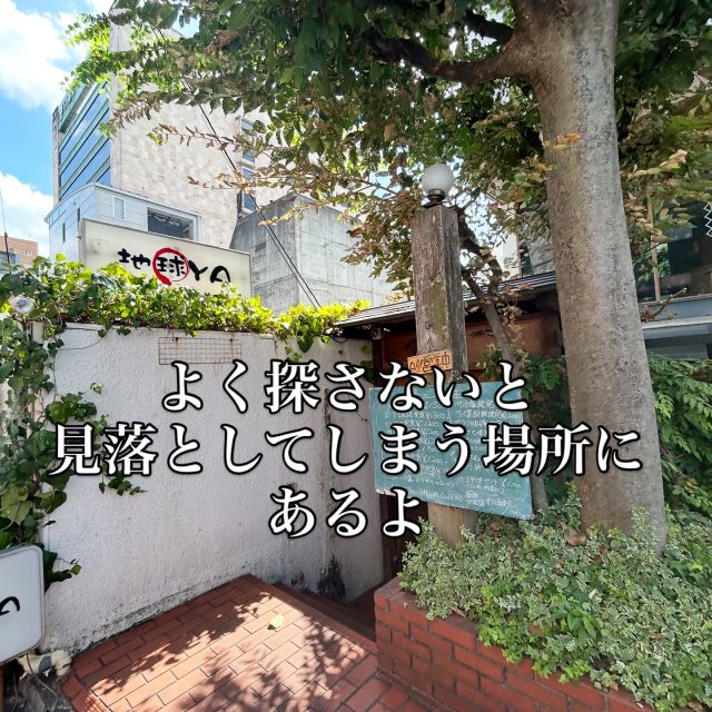 地球YAへの岐阜の食いしん坊担当さんのレビュー写真