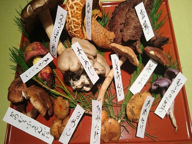 天然きのこ鍋コース…7,700円。※11月中旬頃までご提供(無くなり次第終了)