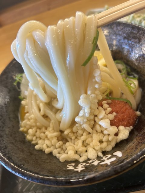 はなまるうどん 岐阜柳津店のレポート写真3（岐阜の食いしん坊担当）