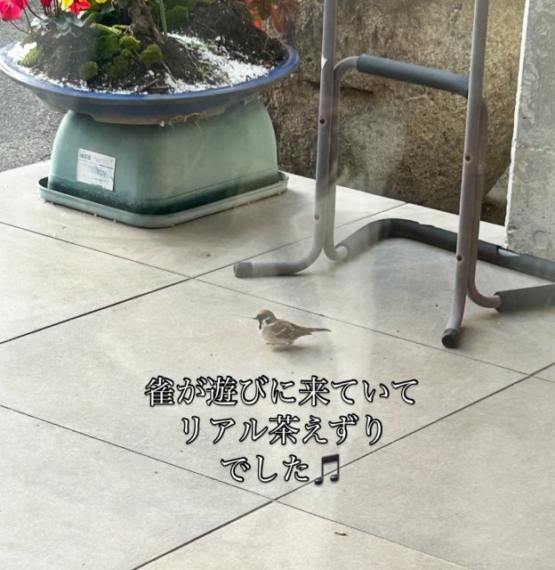 茶えずりへの岐阜の食いしん坊担当さんのレビュー写真