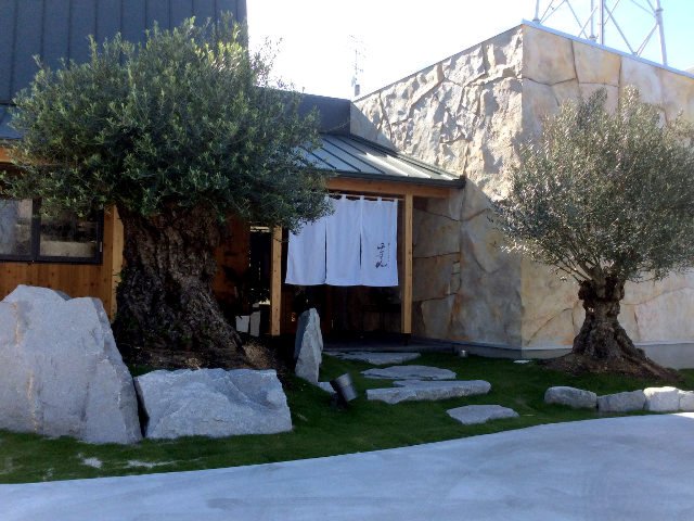 2本のオリーブの木がお出迎え