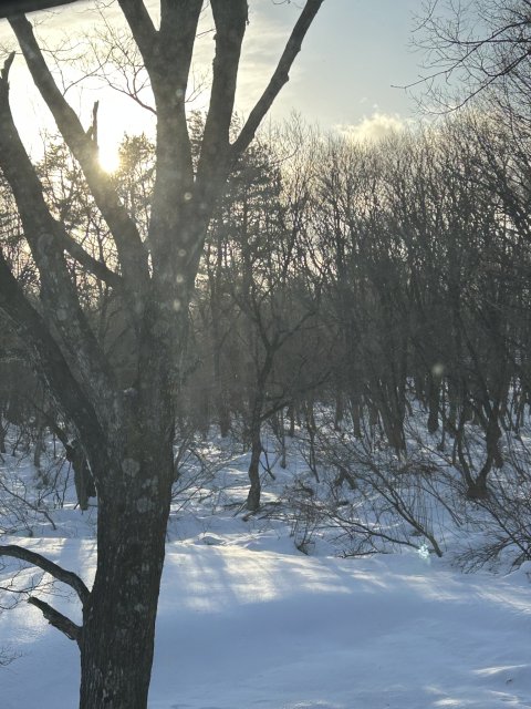 villa FullFieldへの岐阜の食いしん坊担当さんのレビュー写真