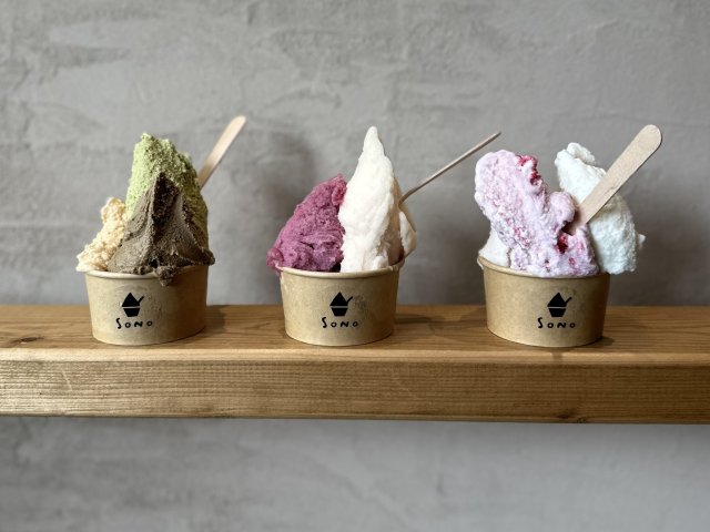 農家のジェラート店 gelateria SONOのお店からの写真1
