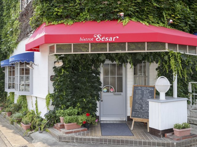 蔦で覆われた建物は季節によって新緑・紅葉と、お店の佇まいからも季節を感じられる