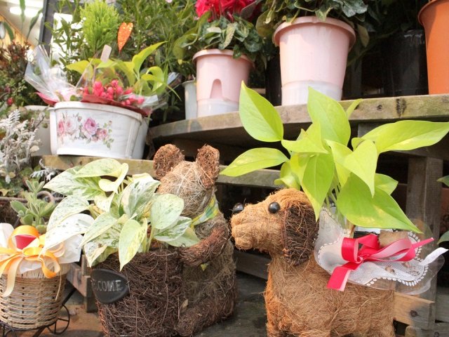 フラワーショップ四季｜花と緑のある暮らし_写真