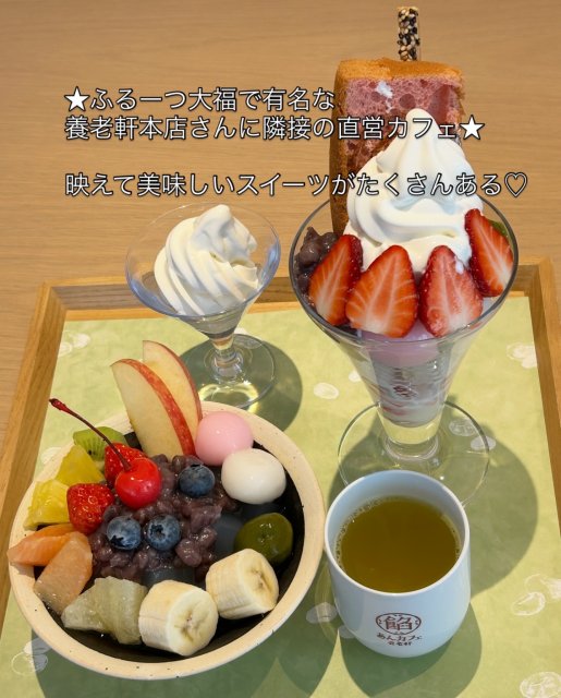 あんカフェ養老軒 本店のレポート写真1（岐阜の食いしん坊担当）