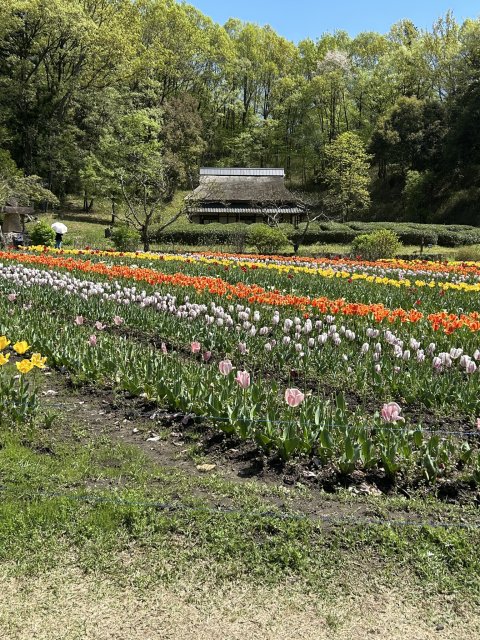 ぎふ清流里山公園へのまーちゃんさんのレビュー写真