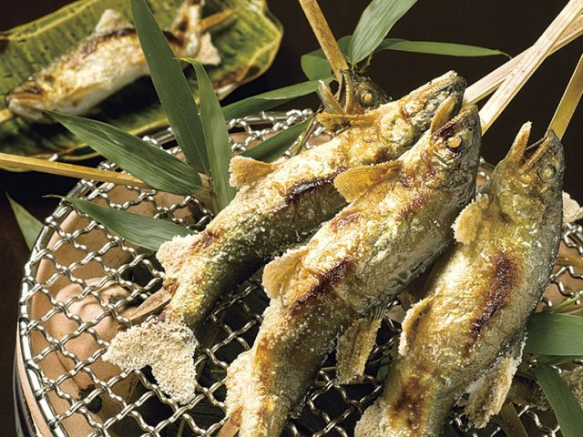 岐阜の夏の風物詩といえば、天然鮎。