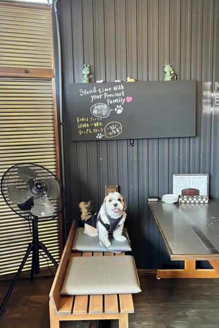 わんちゃんと過ごせるテラス席や屋根裏ドッグルームあり。