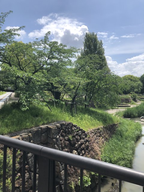 清水緑地のレポート写真3（林雄介(作家、元官僚、林和志)）