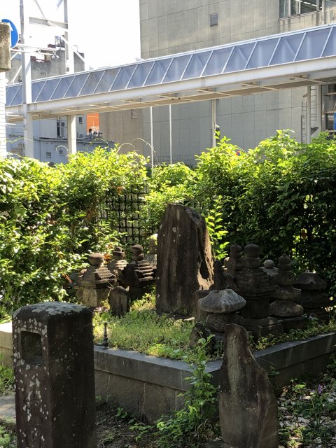 円徳寺への林雄介(作家、元官僚、林和志)さんのレビュー写真