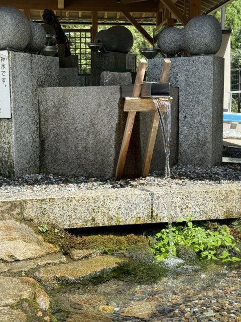 高賀神社  神水庵のレポート写真4（マナブ）