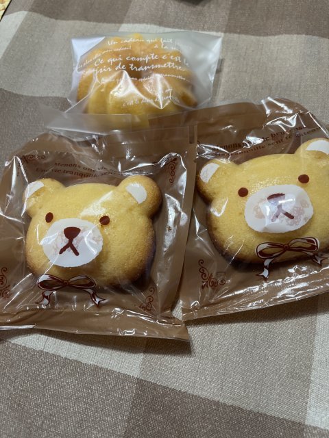 Lu masaのレポート写真2（えころん）