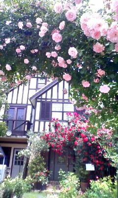 薔薇舘 イングリッシュ・ローゼのレポート写真1（あさみん）