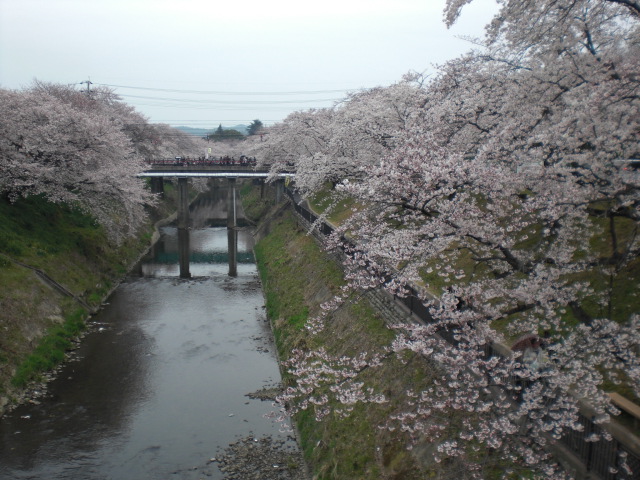 各務原市民公園のレポート写真1（レッツなシニア）
