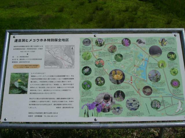 達目洞ヒメコウホネ特別保全地区へのチャラヒさんのレビュー写真