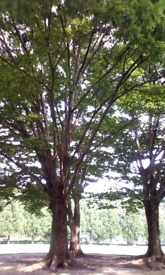 岐阜市畜産センター公園のレポート写真1（あさみん）