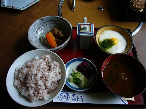 麦とろ 本店のレポート写真1（レッツなミドル）