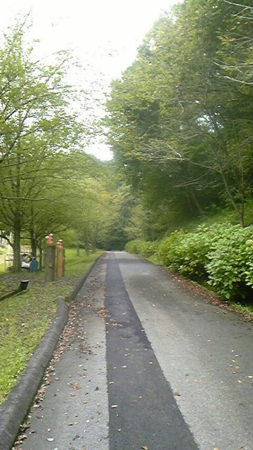 岐阜県百年公園のレポート写真1（みぃ）