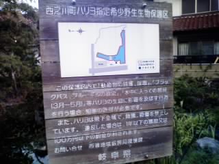 西之川ハリヨの池広場自噴水へのゆかそさんのレビュー写真