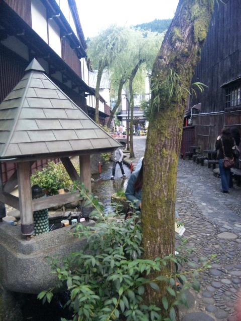 やなか水のこみちへのマロンさんのレビュー写真