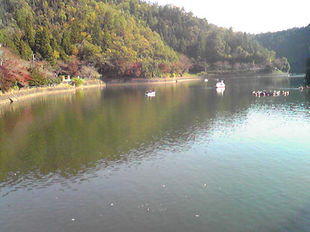 伊自良湖へのえーみーさんのレビュー写真