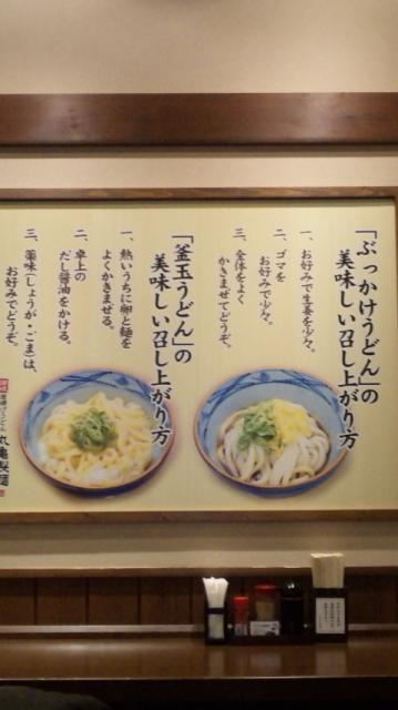 丸亀製麺 岐阜店のレポート写真1（なちょ）
