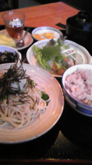 魚菜料理 長濱のレポート写真1（にゃー）