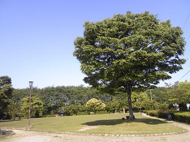 曽根城公園へのゆかそさんのレビュー写真