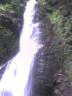 板取川温泉バーデェハウスのレポート写真1（sayo）