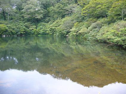 夜叉ヶ池へのゆかそさんのレビュー写真
