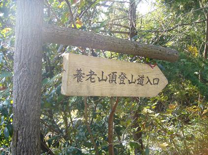 養老山のレポート写真1（ゆかそ）