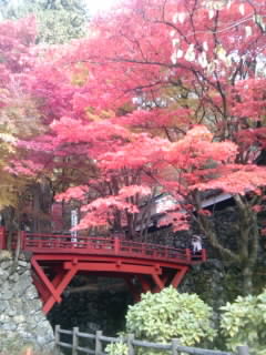 横蔵寺のレポート写真1（まなみ）